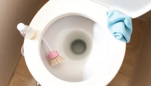 Jak czyścić toaletę z kamienia